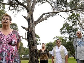 Reconciliation week, Mt Druitt, 2012